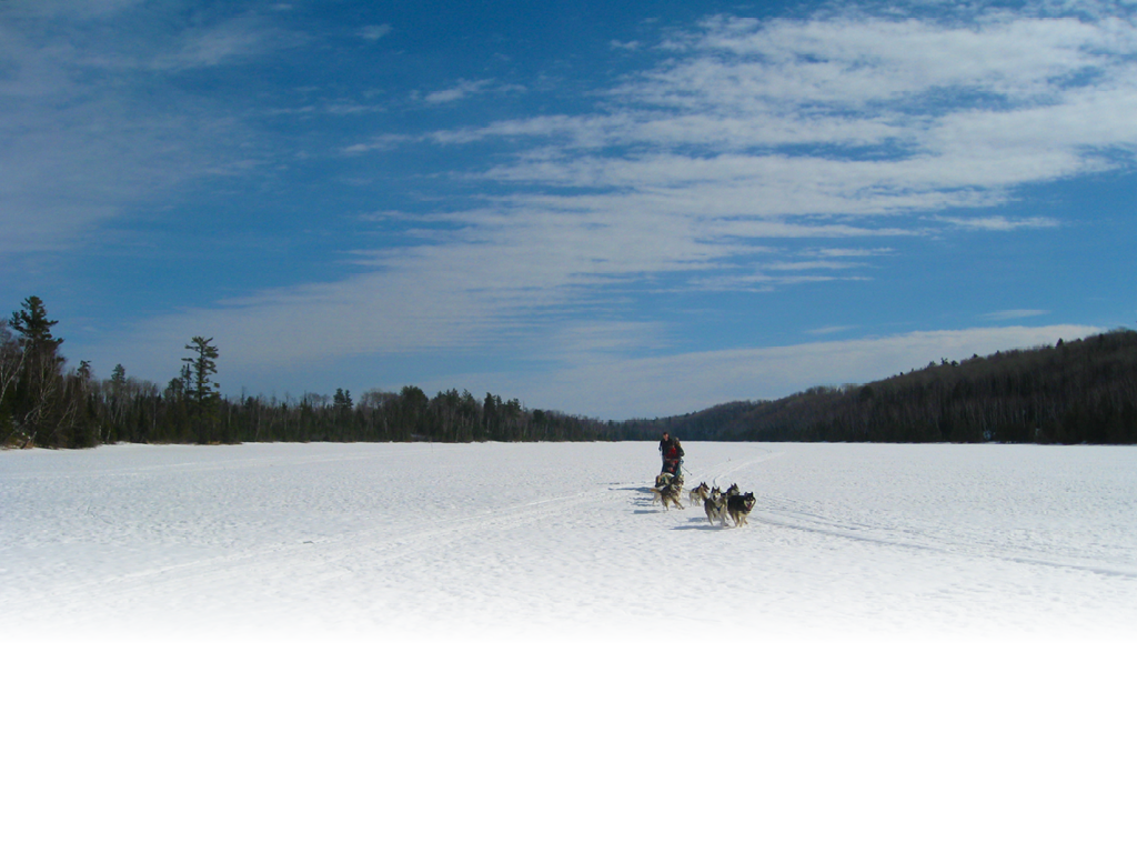 bearskin lodge